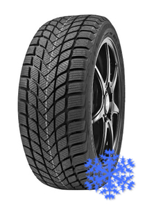 Delinte Winter WD6 195/45 R16 зима