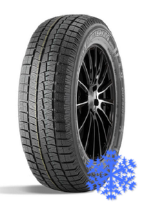 Doublestar DW05 155/65 R13 зима