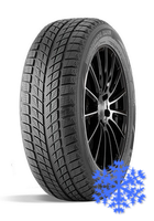 Doublestar DW09 215/55 R18 зима