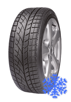 Evergreen EW66 215/55 R17 зима